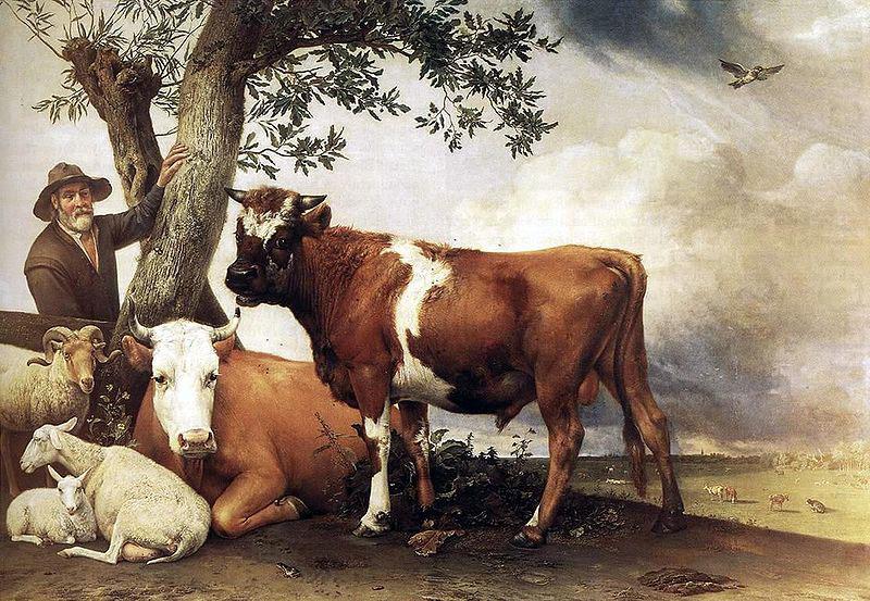 paulus potter The bull. china oil painting image
